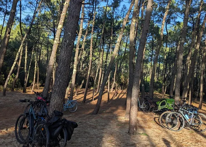 Mobil-home Neuf Suréquipé 6 Pers 3 à Cap Ferret Dans 4 étoiles Avec Piscine