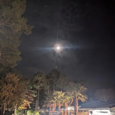 Campeggio Mobil-home Neuf Suréquipé 6 Pers 3 à Cap Ferret Dans 4 étoiles Avec Piscine