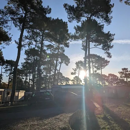 캠프장 Mobil-home Neuf Surequipe 6 Pers 3 A Cap Ferret Dans 4 Etoiles Avec Piscine Lège-Cap-Ferret
