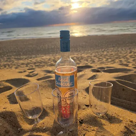 Mobil-home Neuf Suréquipé 6 Pers 3 à Cap Ferret Dans 4 étoiles Avec Piscine Lège-Cap-Ferret
