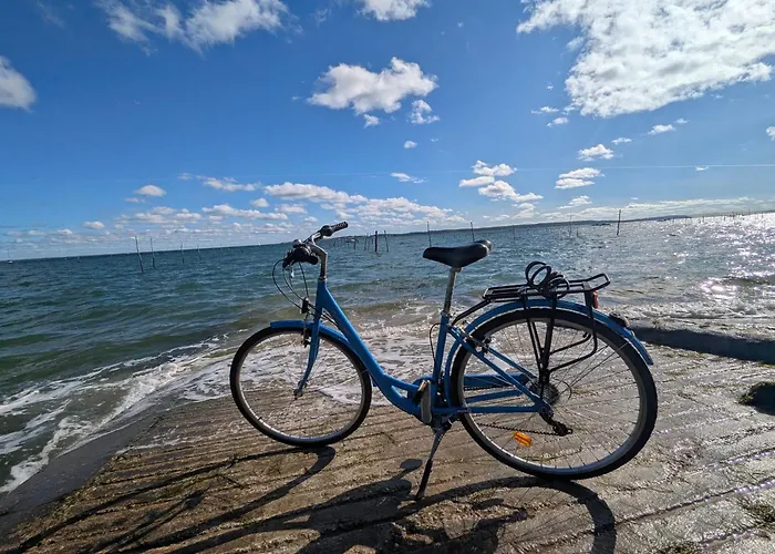 Mobilhome Neuf 3 Dans 4 Et Camping Lège-Cap-Ferret